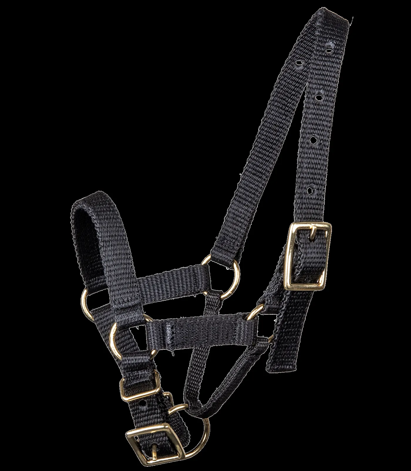 Waldhausen Alpaka Halfter schwarz Online