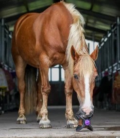 Bizzy Horse Bizzy Ball Outlet