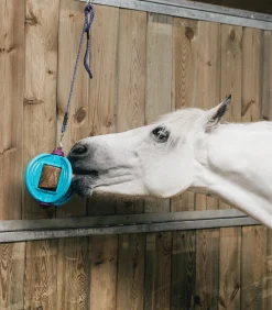 Bizzy Horse Bizzy Ball Outlet