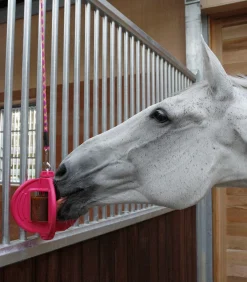 Bizzy Horse Bizzy Ball Outlet