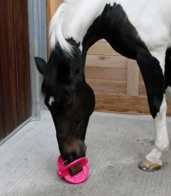Bizzy Horse Bizzy Ball Outlet