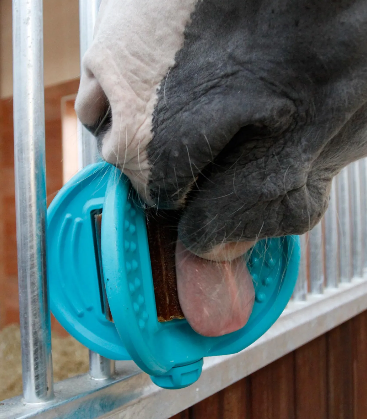Bizzy Horse Bizzy Ball Outlet