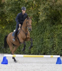 Waldhausen Cavaletti-Block Clearance