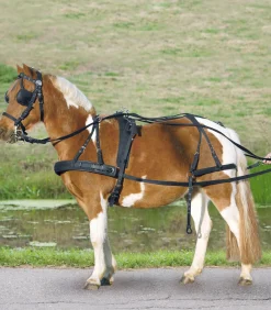 STAR Einspänner Synthetikgeschirr, Pony und Shetty schwarz New