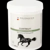 Waldhausen Elektrolyt - Regeneration und Leistungserhalt, 1kg Hot