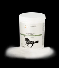 Waldhausen Elektrolyt - Regeneration und Leistungserhalt, 1kg Hot