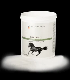 Waldhausen Elektrolyt - Regeneration und Leistungserhalt, 1kg Hot