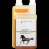 Waldhausen Elektrolyt Liquid - Regeneration und Leistungserhalt, 1l Sale