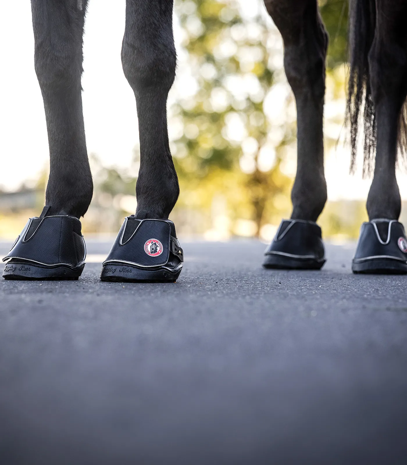Equine Fusion ® Active Jogging Shoe Hot