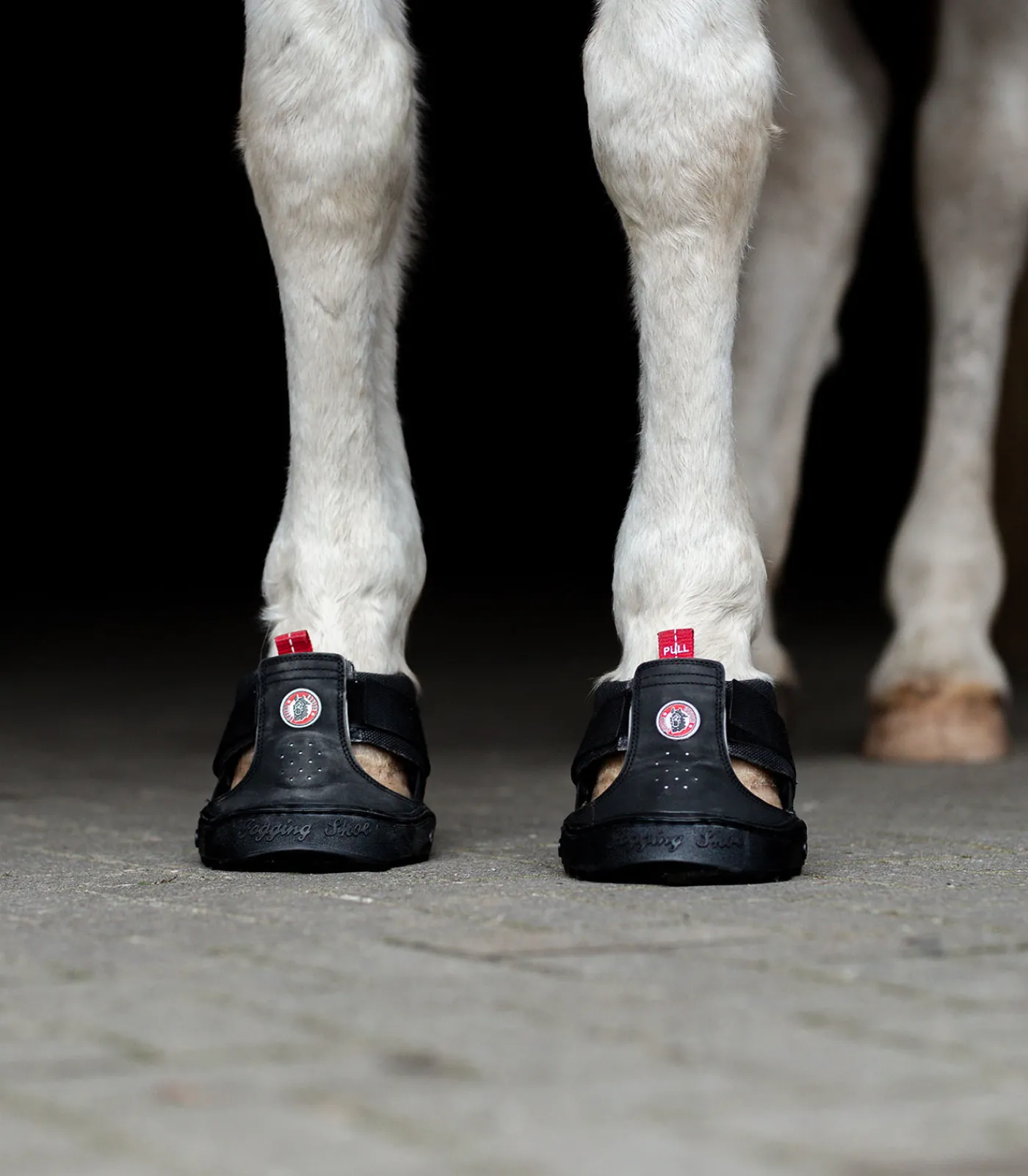 Equine Fusion ® Trekking Shoe Slim schwarz Sale