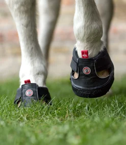 Equine Fusion ® Trekking Shoe Slim schwarz Sale