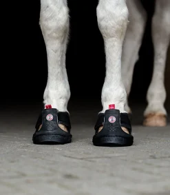 Equine Fusion ® Trekking Shoe schwarz Discount