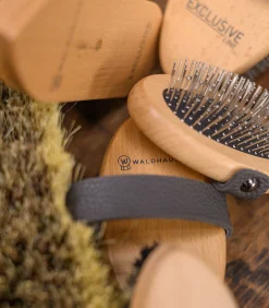 Waldhausen Exclusive Line Staubbürste Online