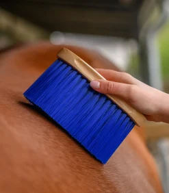 Waldhausen Fell- und Mähnenbürste blau Sale