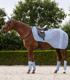 Waldhausen Fleecebandagen Rom, 4er Set Best