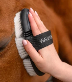 Waldhausen Flex Glanzbürste New