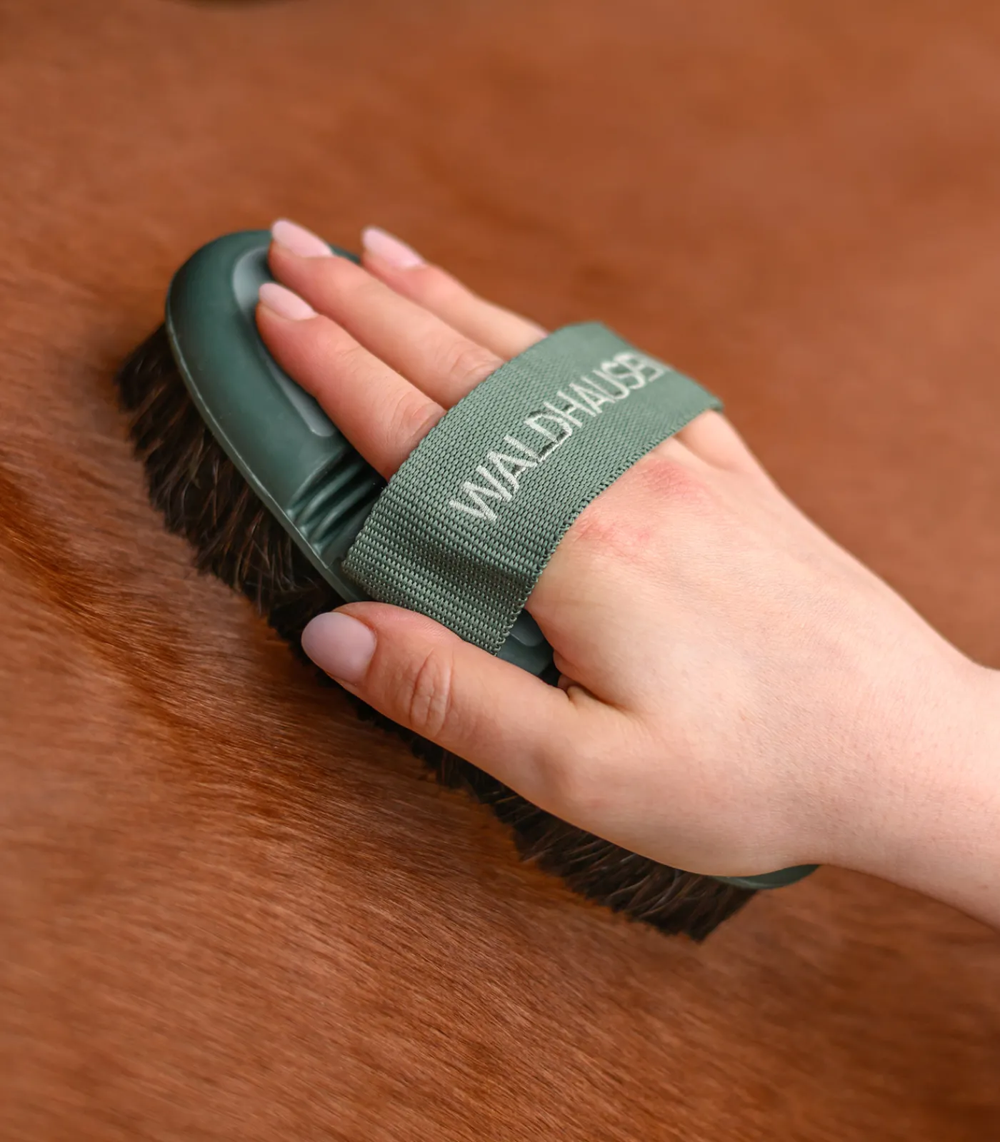 Waldhausen Flex Kardätsche, Rosshaar New