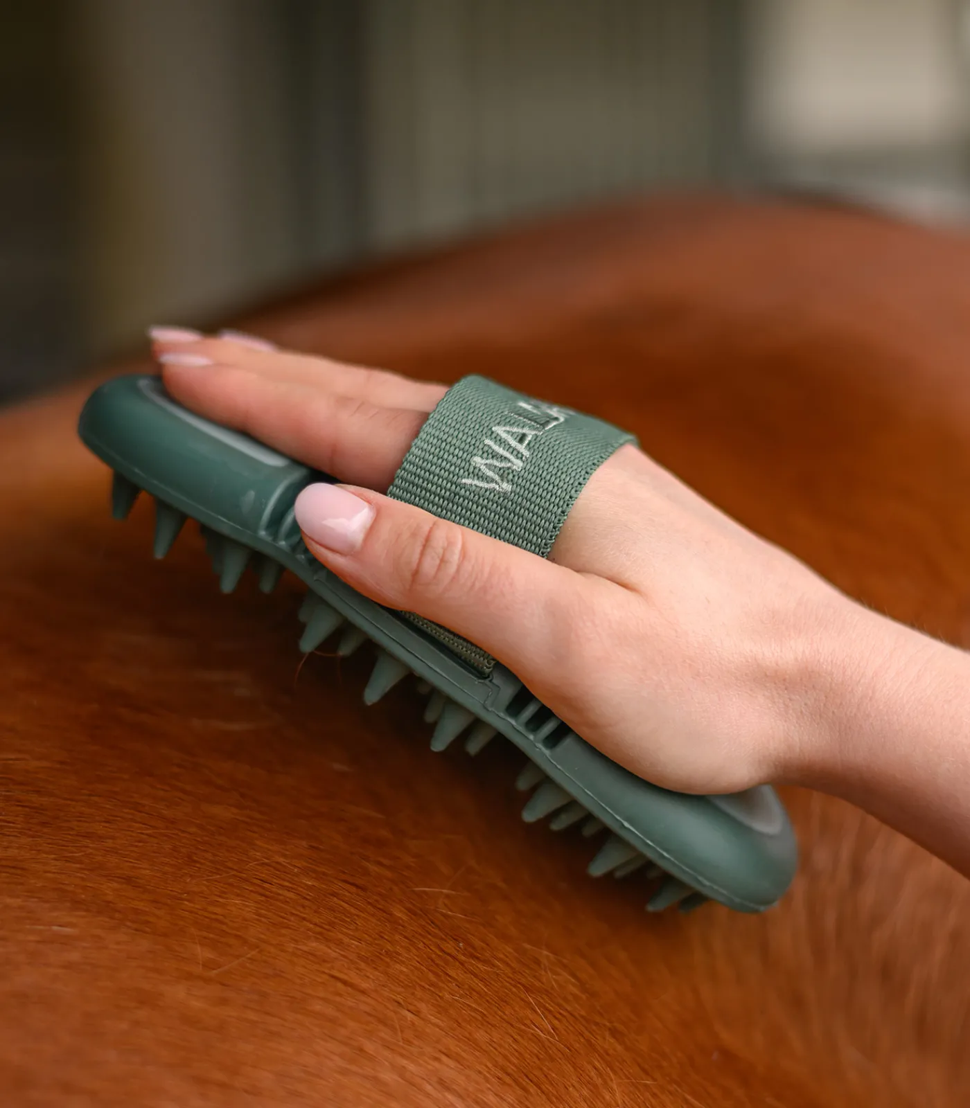 Waldhausen Flex Massage-Striegel