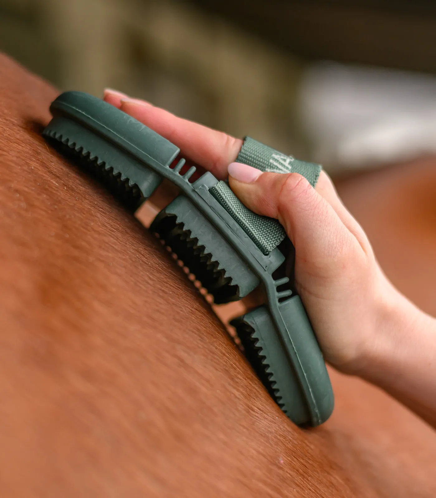 Waldhausen Flex Striegel Best