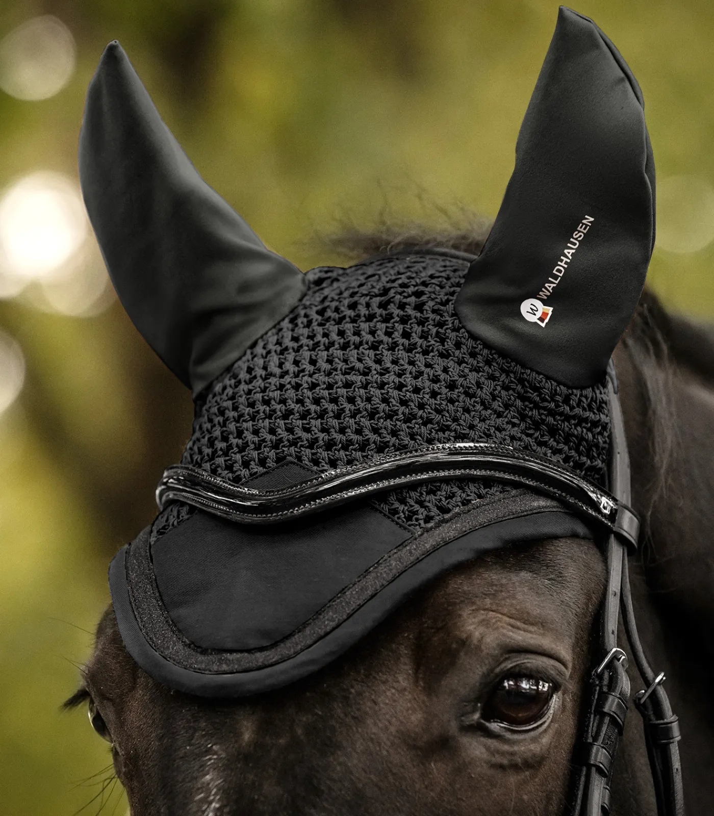 Waldhausen Fliegenohren Competition