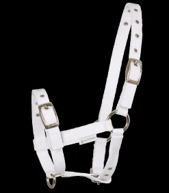 Waldhausen Fohlenhalfter Triple Clearance
