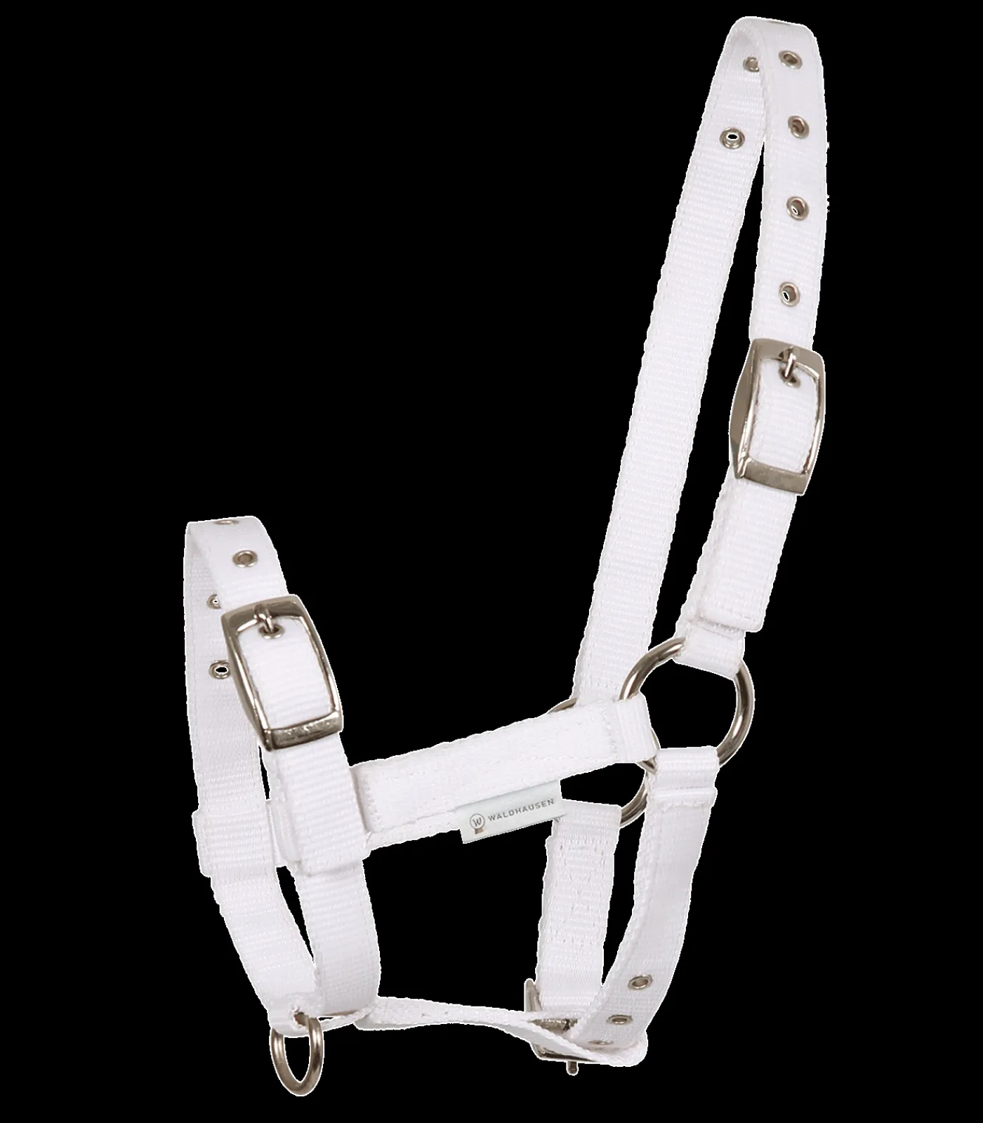 Waldhausen Fohlenhalfter Triple Clearance