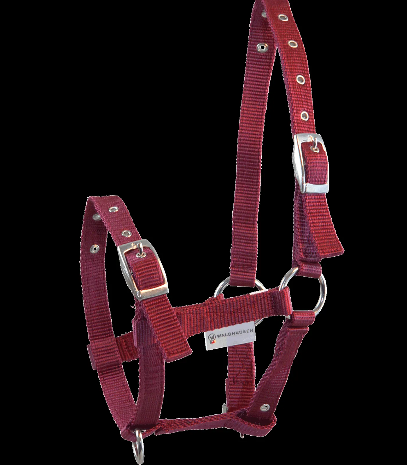 Waldhausen Fohlenhalfter Triple Clearance
