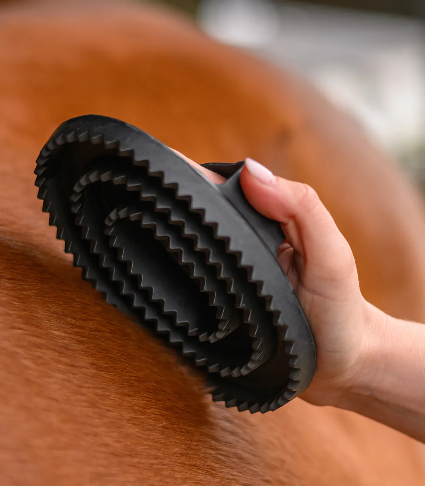Waldhausen Gummistriegel schwarz Clearance