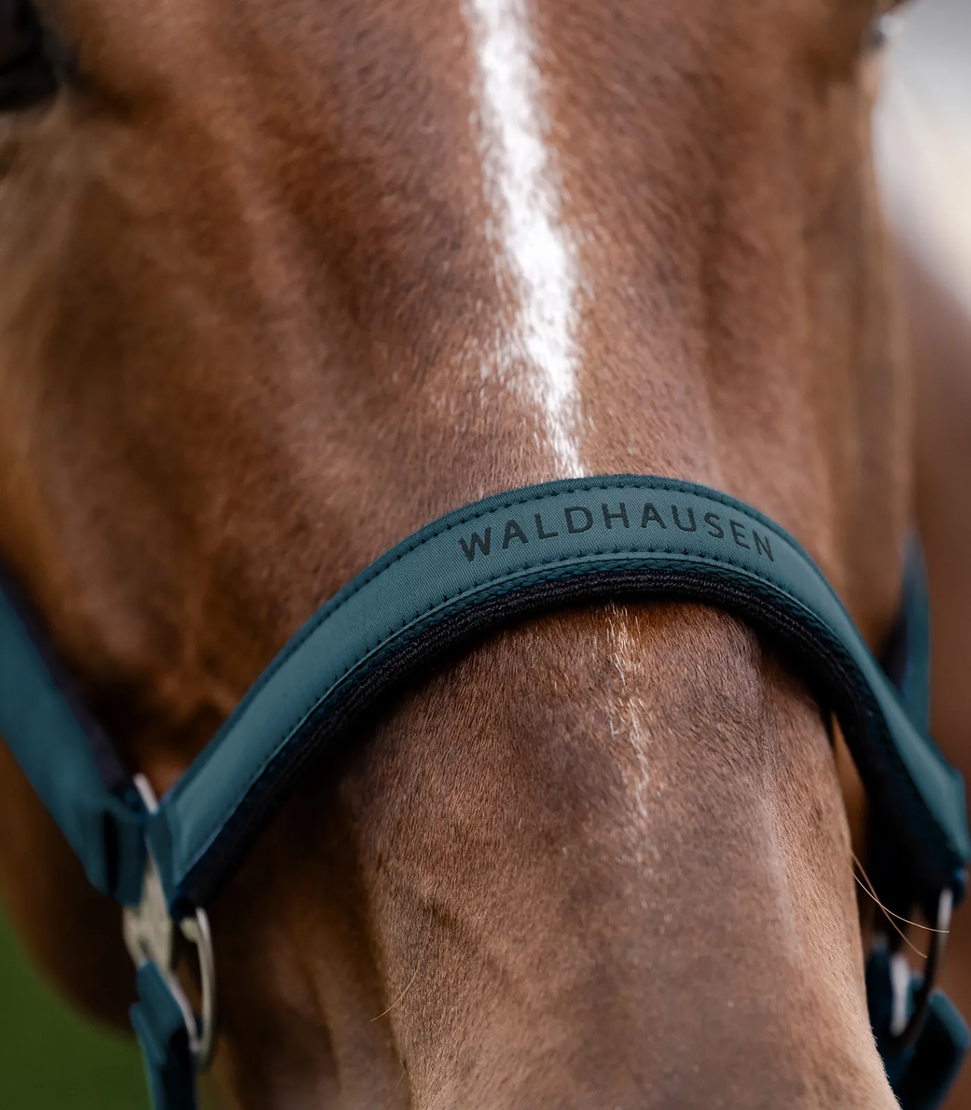 Waldhausen Halfter Athletic Hot