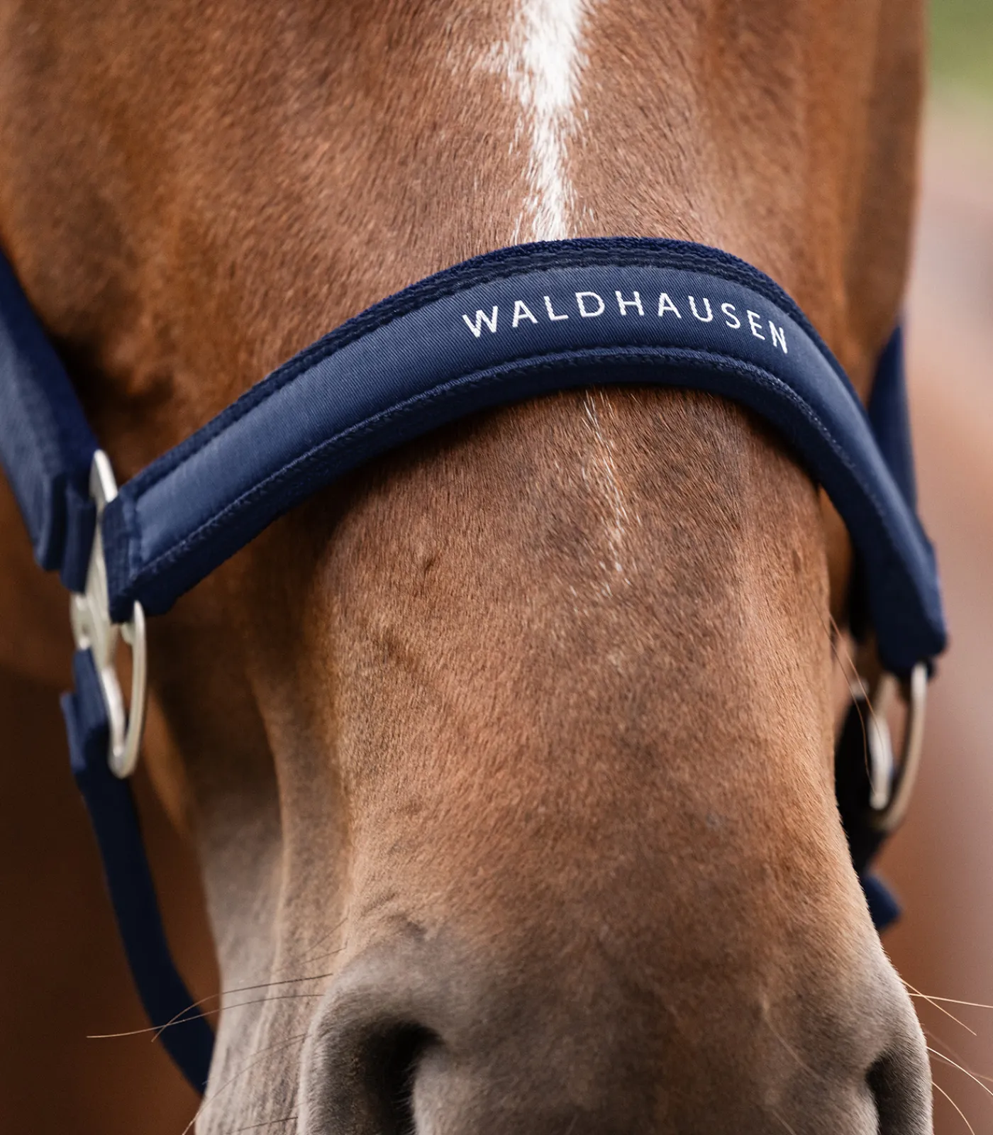 Waldhausen Halfter Athletic Hot