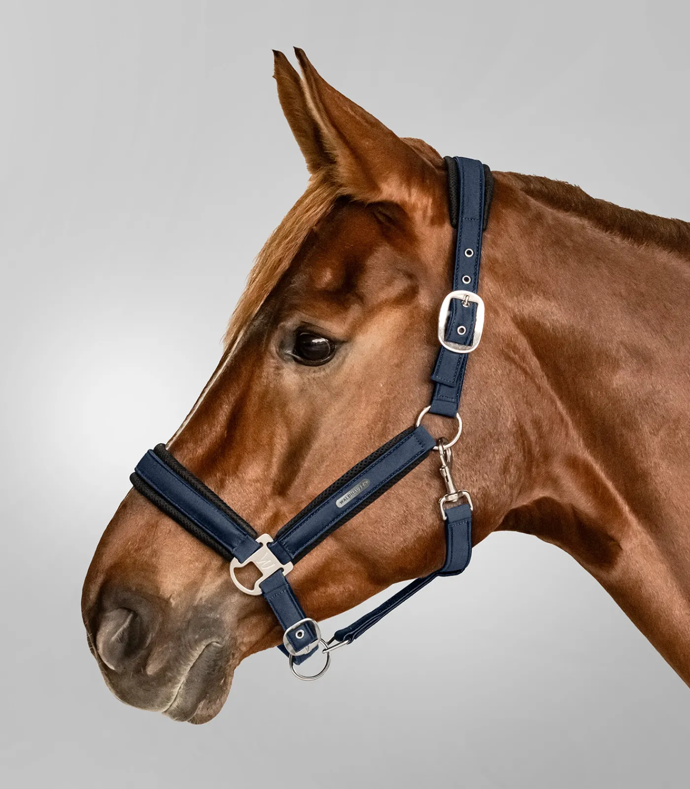 Waldhausen Halfter Breath