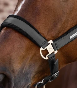 Waldhausen Halfter Breath