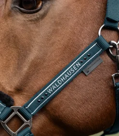 Waldhausen Halfter Elegant Hot
