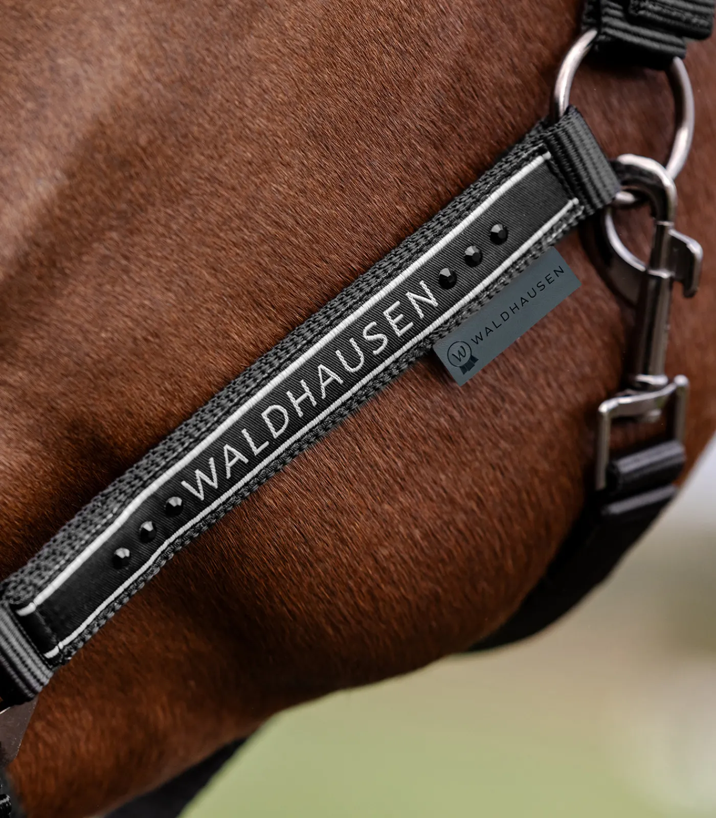 Waldhausen Halfter Elegant Hot