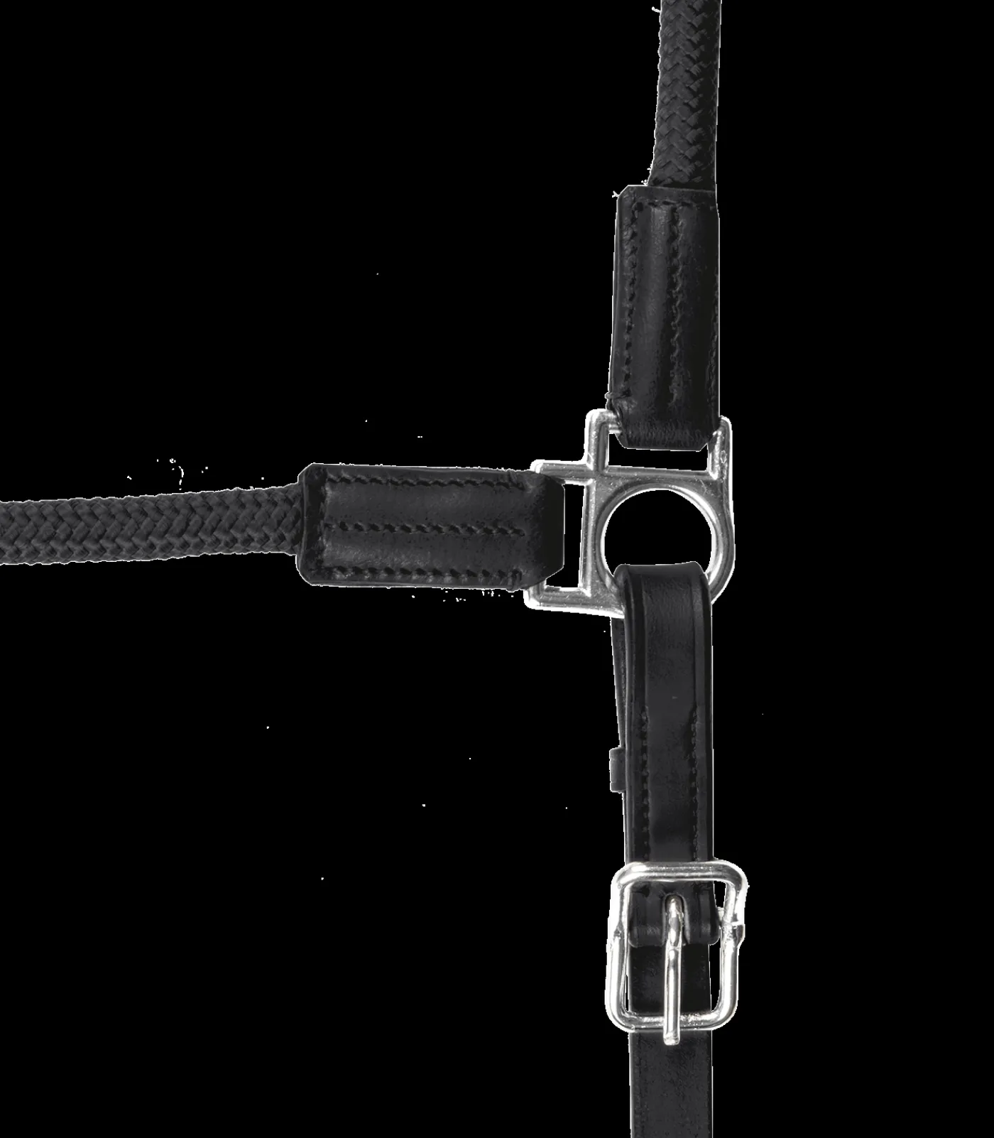 Waldhausen Halfter Nevada braun Online