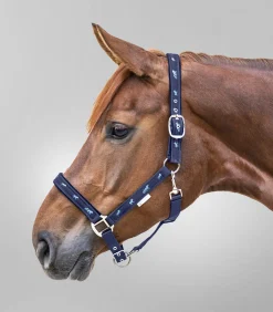 Waldhausen Halfter Pferdchen Best