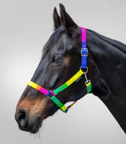 Waldhausen Halfter Regenbogen neon multicolor Discount