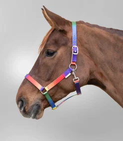 Waldhausen Halfter Regenbogen, VB und WB neon multicolor Sale