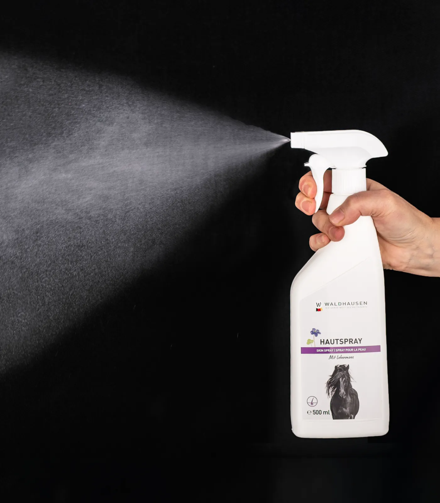 Waldhausen Hautspray mit Lebermoos, 500 ml Online