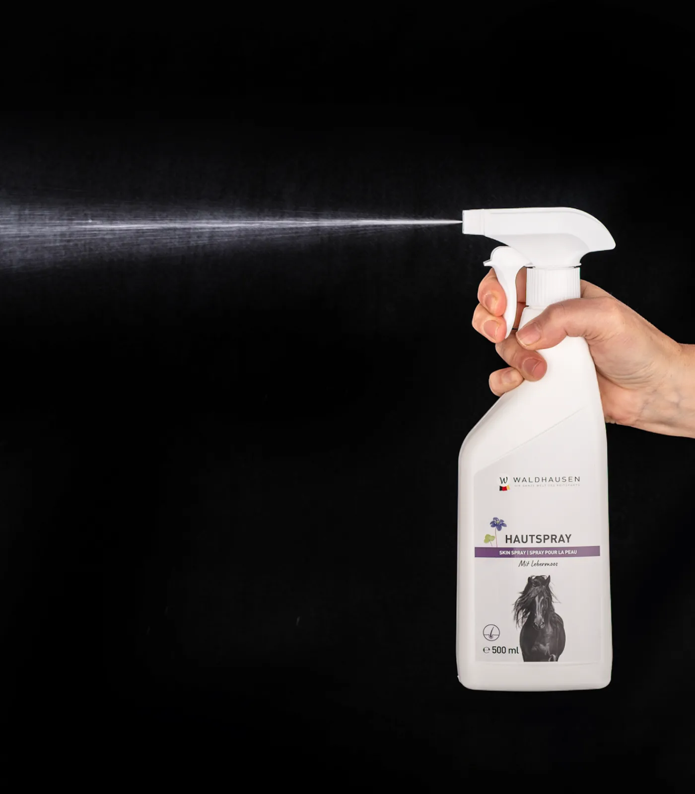 Waldhausen Hautspray mit Lebermoos, 500 ml Online