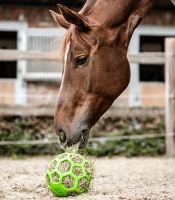 Waldhausen Heuball Sale