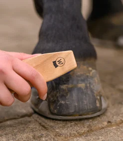Waldhausen Hufbürste blau Hot
