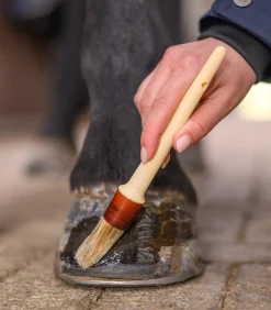 Waldhausen Hufpinsel, Kunststoff Online
