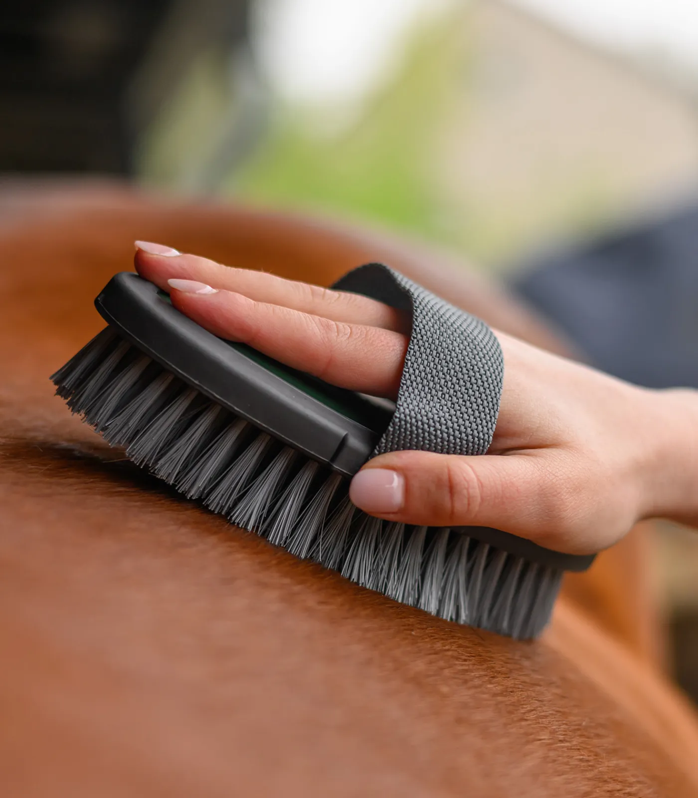 Waldhausen Kardätsche Synthetic Online