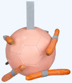 Waldhausen Karottenball Discount