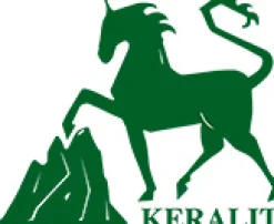 Keralit Dermacure Salbe Hot