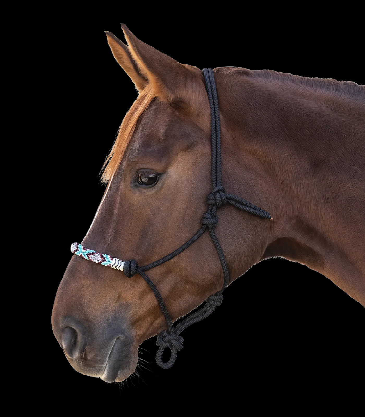 Waldhausen Knotenhalfter Pearls Outlet