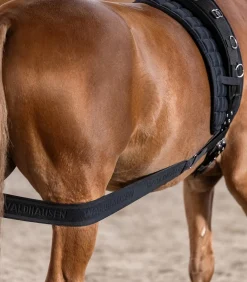 Waldhausen Körperbandage schwarz