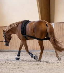 Waldhausen Körperbandage schwarz