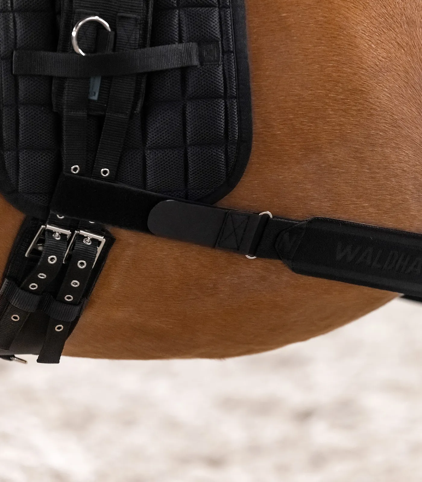 Waldhausen Körperbandage schwarz